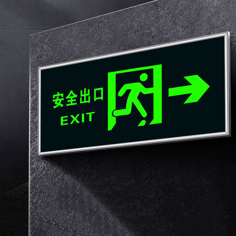 Luminous Safety Exit Signage D - Emergency Exit Sign 评论和价格