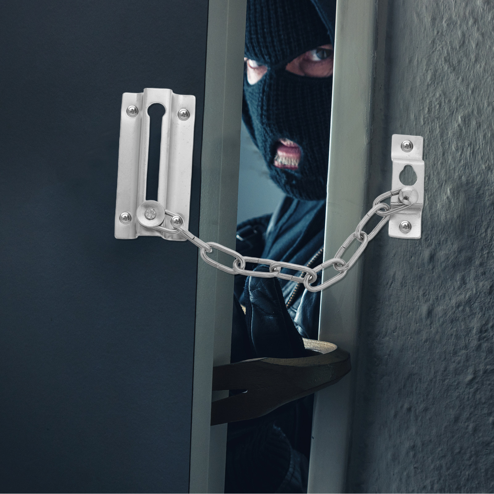 Heavy Duty Stainless Steel Ant - Security Chain Door 评论和价格