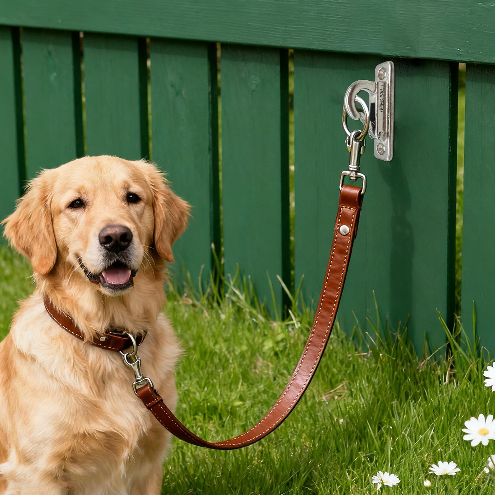 Dog Leashes Holder for Wall Pe - Security Chain Door 评论和价格