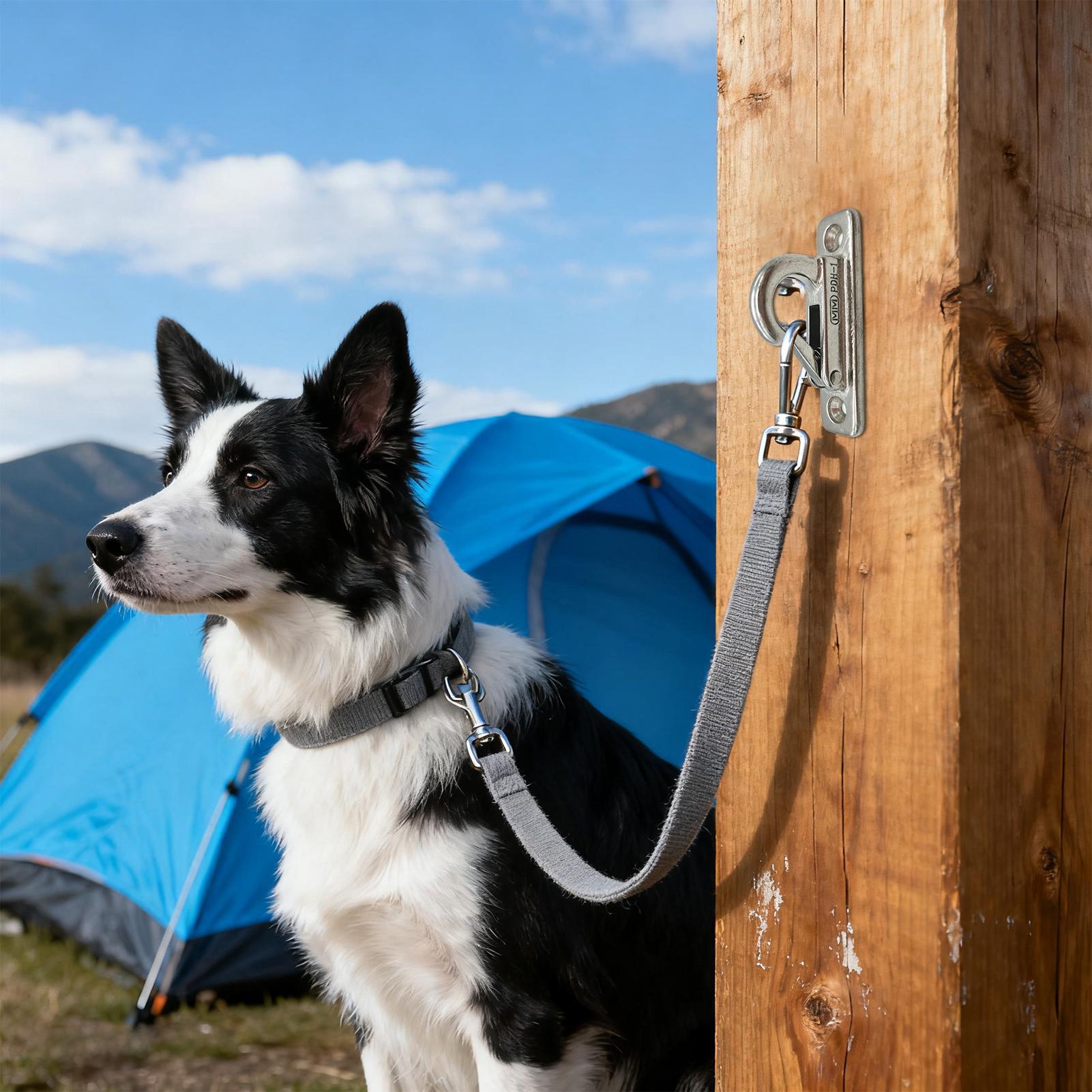 Dog Leashes Holder for Wall Pe - Security Chain Door 评论和价格