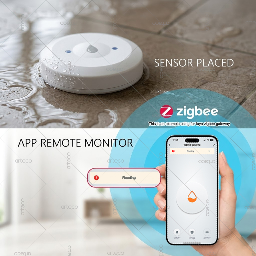 Zigbee Water Leak Sensor Smart - Water Alarm Sensor 评论和价格